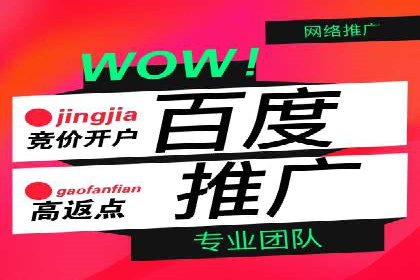 SEM外包服务优势案例分析
