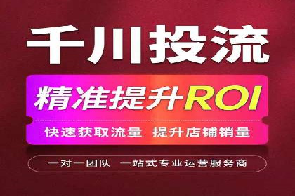 实战经验：SEO与SEM优化案例精选解析